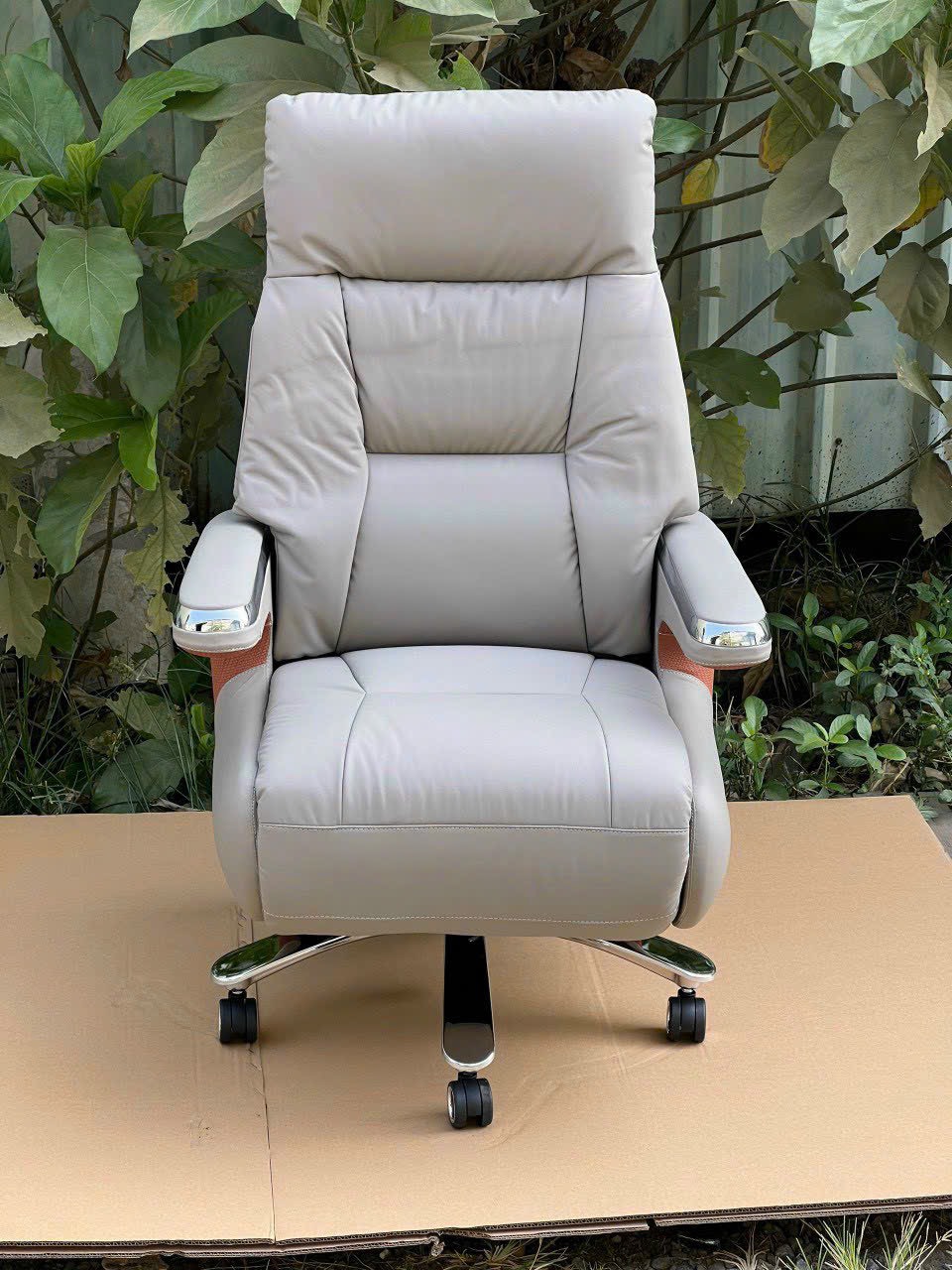 z5606521563482_ca2f5dfef44cf42fdb65d0a952b8aa15