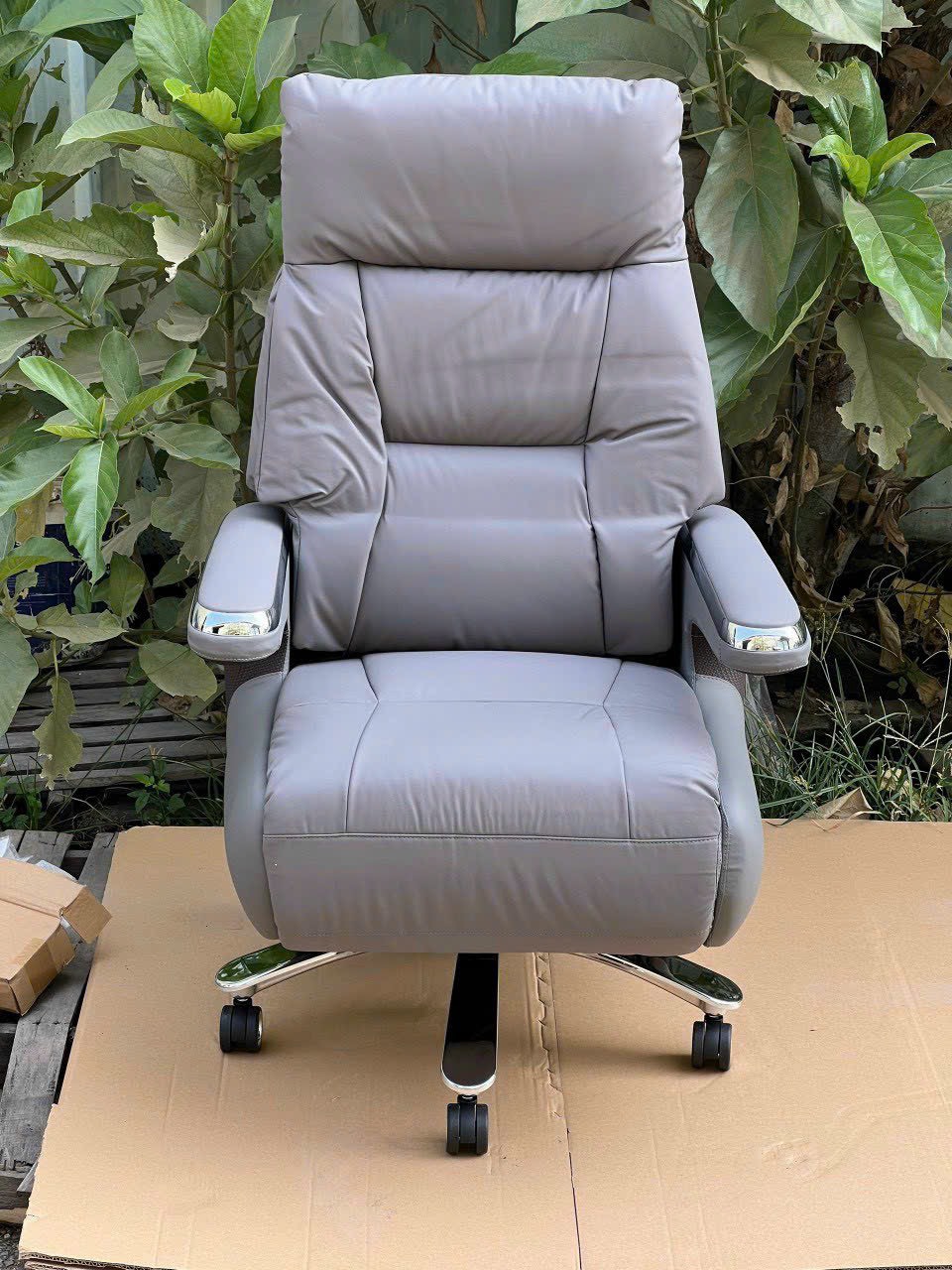 z5606521568615_99c575b14072c8c8bb2d8146128c8cd7